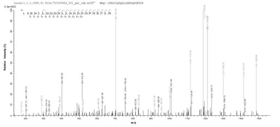 Based on the SEQUEST from database of E.coli host and target protein, the LC-MS/MS Analysis result of this product could indicate that this peptide derived from E.coli-expressed Equus caballus (Horse) EPO.