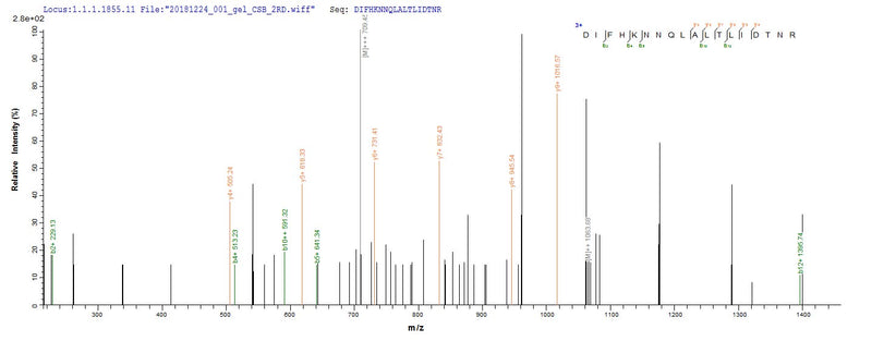 Based on the SEQUEST from database of E.coli host and target protein, the LC-MS/MS Analysis result of this product could indicate that this peptide derived from E.coli-expressed Homo sapiens (Human) ERBB2.