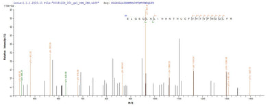 Based on the SEQUEST from database of E.coli host and target protein, the LC-MS/MS Analysis result of this product could indicate that this peptide derived from E.coli-expressed Homo sapiens (Human) ERBB2.