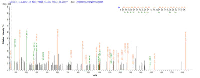 Based on the SEQUEST from database of E.coli host and target protein, the LC-MS/MS Analysis result of this product could indicate that this peptide derived from E.coli-expressed Homo sapiens (Human) FAP.