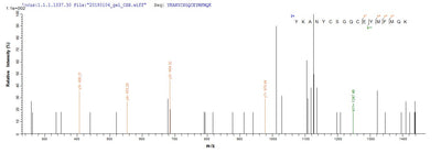 Based on the SEQUEST from database of E.coli host and target protein, the LC-MS/MS Analysis result of this product could indicate that this peptide derived from E.coli-expressed Homo sapiens (Human) GDF11.