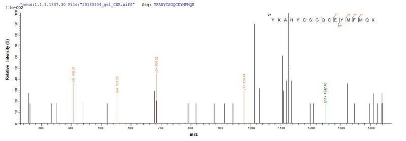 Based on the SEQUEST from database of E.coli host and target protein, the LC-MS/MS Analysis result of this product could indicate that this peptide derived from E.coli-expressed Homo sapiens (Human) GDF11.