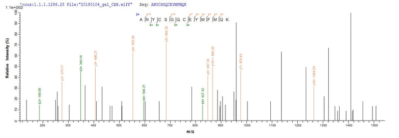 Based on the SEQUEST from database of E.coli host and target protein, the LC-MS/MS Analysis result of this product could indicate that this peptide derived from E.coli-expressed Homo sapiens (Human) GDF11.