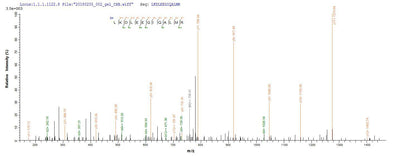 Based on the SEQUEST from database of E.coli host and target protein, the LC-MS/MS Analysis result of this product could indicate that this peptide derived from E.coli-expressed Sus scrofa (Pig) GH1.