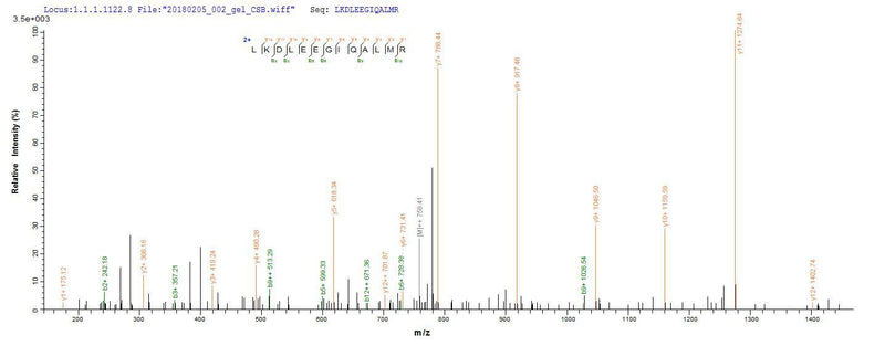 Based on the SEQUEST from database of E.coli host and target protein, the LC-MS/MS Analysis result of this product could indicate that this peptide derived from E.coli-expressed Sus scrofa (Pig) GH1.