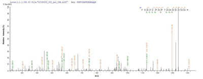 Based on the SEQUEST from database of E.coli host and target protein, the LC-MS/MS Analysis result of this product could indicate that this peptide derived from E.coli-expressed Sus scrofa (Pig) GH1.