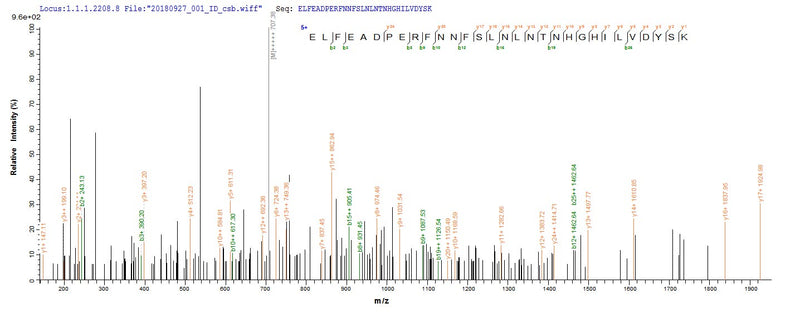 Based on the SEQUEST from database of E.coli host and target protein, the LC-MS/MS Analysis result of this product could indicate that this peptide derived from E.coli-expressed Mus musculus (Mouse) Gpi.