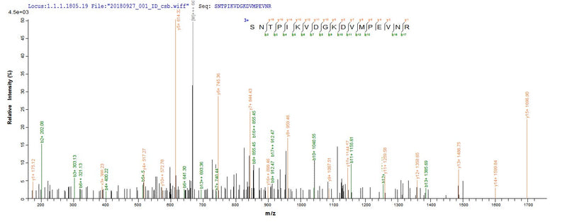 Based on the SEQUEST from database of E.coli host and target protein, the LC-MS/MS Analysis result of this product could indicate that this peptide derived from E.coli-expressed Mus musculus (Mouse) Gpi.