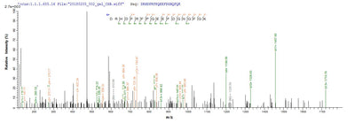 Based on the SEQUEST from database of E.coli host and target protein, the LC-MS/MS Analysis result of this product could indicate that this peptide derived from E.coli-expressed Homo sapiens (Human) IFNA6.