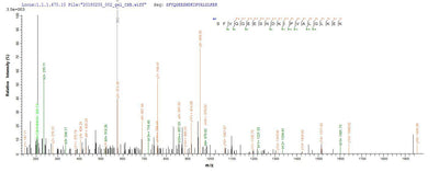 Based on the SEQUEST from database of E.coli host and target protein, the LC-MS/MS Analysis result of this product could indicate that this peptide derived from E.coli-expressed Homo sapiens (Human) IL1B.