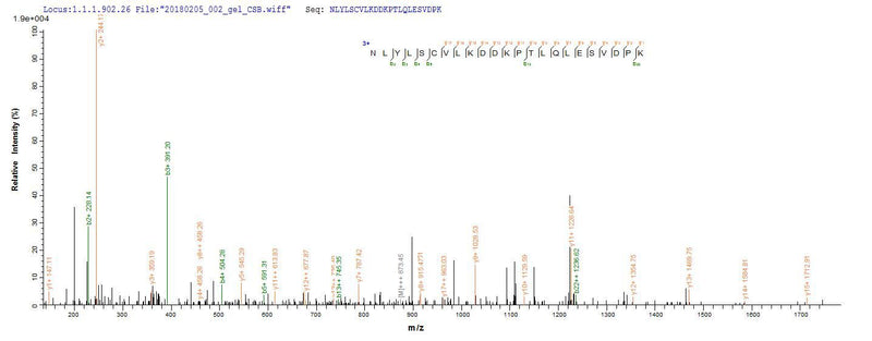 Based on the SEQUEST from database of E.coli host and target protein, the LC-MS/MS Analysis result of this product could indicate that this peptide derived from E.coli-expressed Homo sapiens (Human) IL1B.