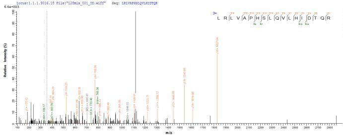 Based on the SEQUEST from database of E.coli host and target protein, the LC-MS/MS Analysis result of this product could indicate that this peptide derived from E.coli-expressed Mus musculus (Mouse) l2rb.