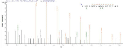 Based on the SEQUEST from database of E.coli host and target protein, the LC-MS/MS Analysis result of this product could indicate that this peptide derived from E.coli-expressed Mus musculus (Mouse) l2rb.