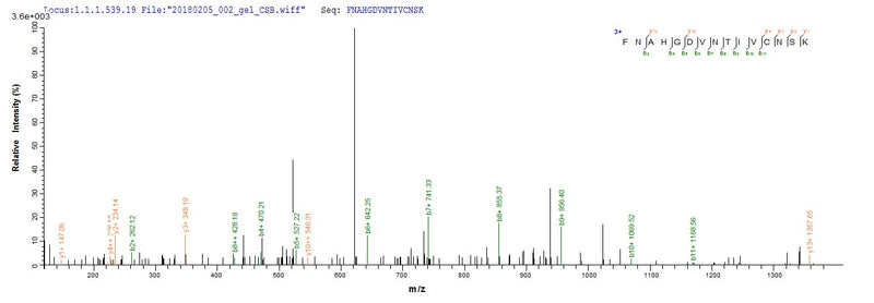 Based on the SEQUEST from database of E.coli host and target protein, the LC-MS/MS Analysis result of this product could indicate that this peptide derived from E.coli-expressed Bos taurus (Bovine) LGALS1.