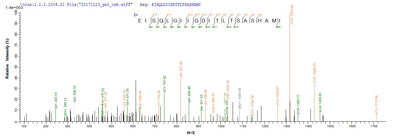 Based on the SEQUEST from database of E.coli host and target protein, the LC-MS/MS Analysis result of this product could indicate that this peptide derived from E.coli-expressed Rattus norvegicus (Rat) Lgals3.