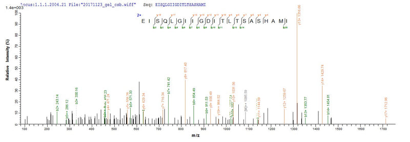 Based on the SEQUEST from database of E.coli host and target protein, the LC-MS/MS Analysis result of this product could indicate that this peptide derived from E.coli-expressed Rattus norvegicus (Rat) Lgals3.