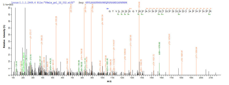 Based on the SEQUEST from database of E.coli host and target protein, the LC-MS/MS Analysis result of this product could indicate that this peptide derived from E.coli-expressed Homo sapiens (Human) LGALS9.