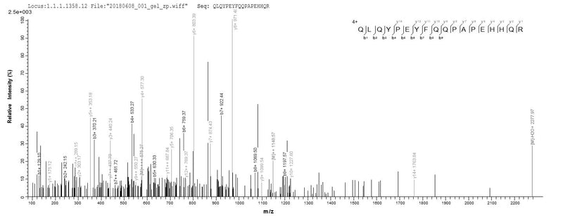 Based on the SEQUEST from database of E.coli host and target protein, the LC-MS/MS Analysis result of this product could indicate that this peptide derived from E.coli-expressed Mus musculus (Mouse) Loxl2.