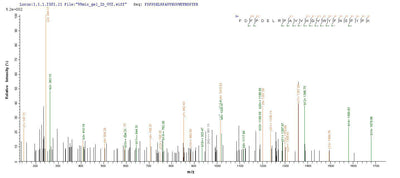 Based on the SEQUEST from database of E.coli host and target protein, the LC-MS/MS Analysis result of this product could indicate that this peptide derived from E.coli-expressed Homo sapiens (Human) MAG.