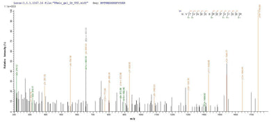 Based on the SEQUEST from database of E.coli host and target protein, the LC-MS/MS Analysis result of this product could indicate that this peptide derived from E.coli-expressed Homo sapiens (Human) MAG.