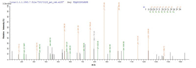 Based on the SEQUEST from database of E.coli host and target protein, the LC-MS/MS Analysis result of this product could indicate that this peptide derived from E.coli-expressed Homo sapiens (Human) MET.