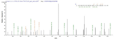 Based on the SEQUEST from database of E.coli host and target protein, the LC-MS/MS Analysis result of this product could indicate that this peptide derived from E.coli-expressed Homo sapiens (Human) MET.