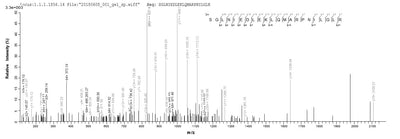 Based on the SEQUEST from database of E.coli host and target protein, the LC-MS/MS Analysis result of this product could indicate that this peptide derived from E.coli-expressed Homo sapiens (Human) OSM.