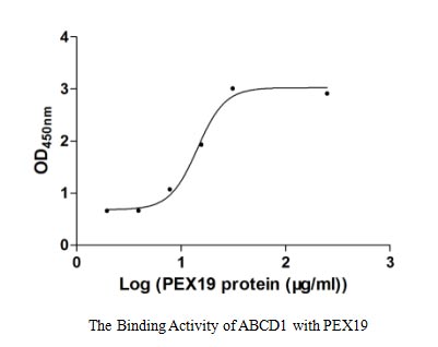 Activity Measured by its binding ability in a functional ELISA. Immobilized ABCD1 at 5 μg/ml can bind human PEX19, the EC 50 of human PEX19 is 22.96-33.00 μg/ml.