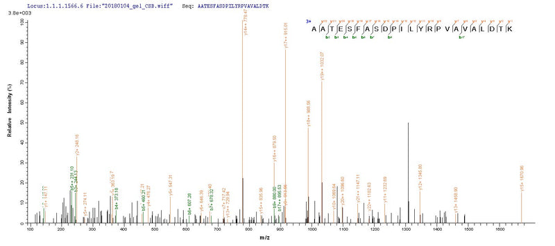 Based on the SEQUEST from database of E.coli host and target protein, the LC-MS/MS Analysis result of this product could indicate that this peptide derived from E.coli-expressed Rattus norvegicus (Rat) Pkm.