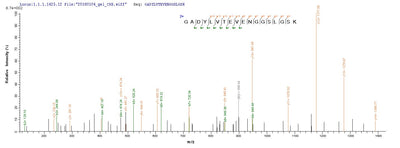 Based on the SEQUEST from database of E.coli host and target protein, the LC-MS/MS Analysis result of this product could indicate that this peptide derived from E.coli-expressed Rattus norvegicus (Rat) Pkm.