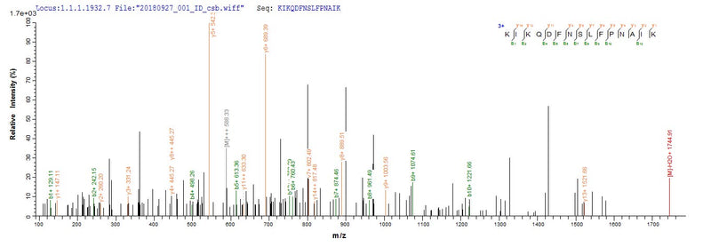 Based on the SEQUEST from database of E.coli host and target protein, the LC-MS/MS Analysis result of this product could indicate that this peptide derived from E.coli-expressed Mus musculus (Mouse) Retn.