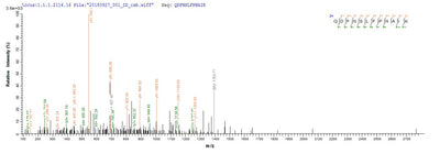 Based on the SEQUEST from database of E.coli host and target protein, the LC-MS/MS Analysis result of this product could indicate that this peptide derived from E.coli-expressed Mus musculus (Mouse) Retn.