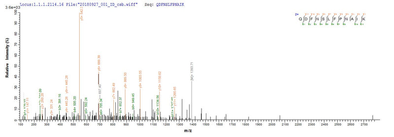 Based on the SEQUEST from database of E.coli host and target protein, the LC-MS/MS Analysis result of this product could indicate that this peptide derived from E.coli-expressed Mus musculus (Mouse) Retn.