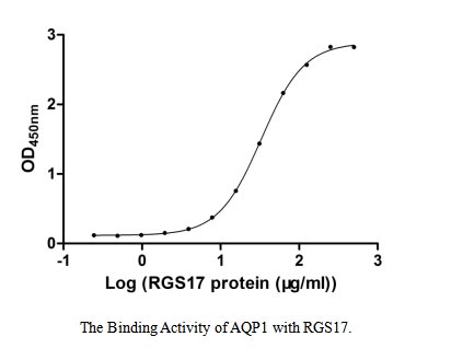 Activity Measured by its binding ability in a functional ELISA. Immobilized AQP1 at 2 μg/ml can bind human RGS17, the EC 50 of human RGS17 protein is 31.63-34.44 μg/ml.