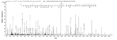 Based on the SEQUEST from database of E.coli host and target protein, the LC-MS/MS Analysis result of this product could indicate that this peptide derived from E.coli-expressed Rattus norvegicus (Rat) S100a4.