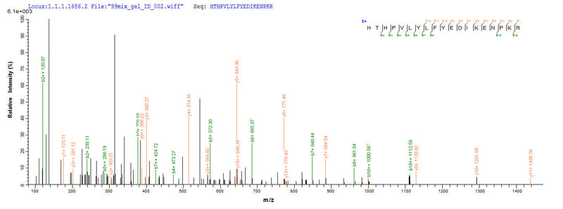 Based on the SEQUEST from database of E.coli host and target protein, the LC-MS/MS Analysis result of this product could indicate that this peptide derived from E.coli-expressed Rattus norvegicus (Rat) Sult1a1.