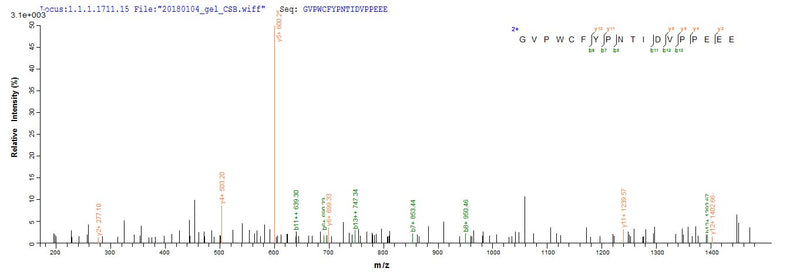 Based on the SEQUEST from database of E.coli host and target protein, the LC-MS/MS Analysis result of this product could indicate that this peptide derived from E.coli-expressed Homo sapiens (Human) TFF1.