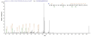 Based on the SEQUEST from database of E.coli host and target protein, the LC-MS/MS Analysis result of this product could indicate that this peptide derived from E.coli-expressed Mus musculus (Mouse) Vegfc.