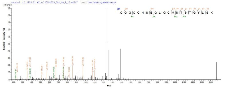 Based on the SEQUEST from database of E.coli host and target protein, the LC-MS/MS Analysis result of this product could indicate that this peptide derived from E.coli-expressed Mus musculus (Mouse) Vegfc.