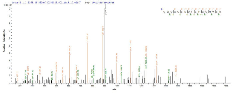 Based on the SEQUEST from database of E.coli host and target protein, the LC-MS/MS Analysis result of this product could indicate that this peptide derived from E.coli-expressed Homo sapiens (Human) WNT3A.