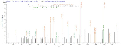 Based on the SEQUEST from database of E.coli host and target protein, the LC-MS/MS Analysis result of this product could indicate that this peptide derived from E.coli-expressed Escherichia coli O157:H7 fliC.