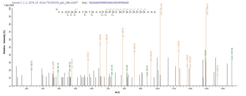 Based on the SEQUEST from database of E.coli host and target protein, the LC-MS/MS Analysis result of this product could indicate that this peptide derived from E.coli-expressed Escherichia coli O157:H7 fliC.