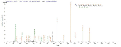 Based on the SEQUEST from database of E.coli host and target protein, the LC-MS/MS Analysis result of this product could indicate that this peptide derived from E.coli-expressed Salmonella enterica I fljB.