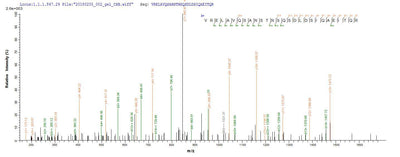 Based on the SEQUEST from database of E.coli host and target protein, the LC-MS/MS Analysis result of this product could indicate that this peptide derived from E.coli-expressed Salmonella enterica I fljB.