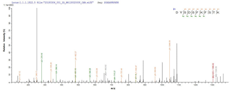 Based on the SEQUEST from database of E.coli host and target protein, the LC-MS/MS Analysis result of this product could indicate that this peptide derived from E.coli-expressed Helicobacter pylori (Campylobacter pylori) cagA.