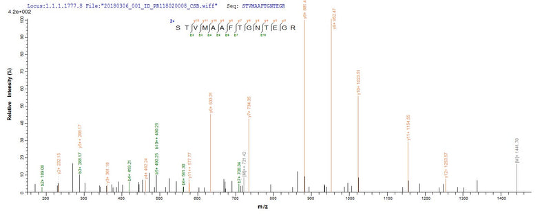 Based on the SEQUEST from database of E.coli host and target protein, the LC-MS/MS Analysis result of this product could indicate that this peptide derived from E.coli-expressed Influenza A virus (strain A/Shanghai/16/1989 H3N2) NP.