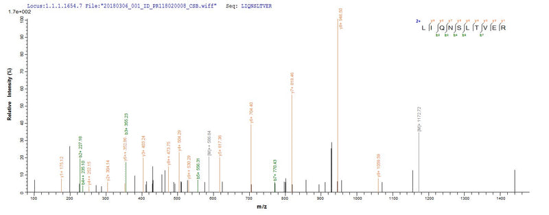 Based on the SEQUEST from database of E.coli host and target protein, the LC-MS/MS Analysis result of this product could indicate that this peptide derived from E.coli-expressed Influenza A virus (strain A/Shanghai/16/1989 H3N2) NP.