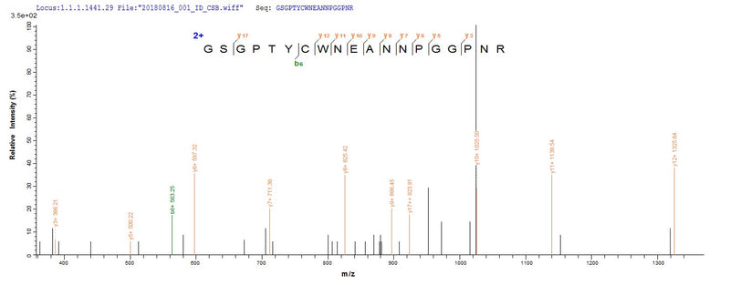 Based on the SEQUEST from database of E.coli host and target protein, the LC-MS/MS Analysis result of this product could indicate that this peptide derived from E.coli-expressed Schistosoma mansoni (Blood fluke) N/A.