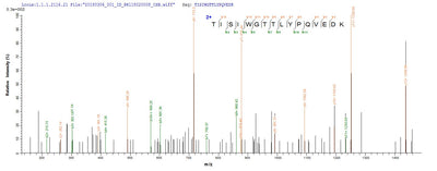 Based on the SEQUEST from database of E.coli host and target protein, the LC-MS/MS Analysis result of this product could indicate that this peptide derived from E.coli-expressed Streptococcus pneumoniae serotype 2 (strain D39 / NCTC 7466) ply.