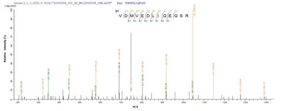 Based on the SEQUEST from database of E.coli host and target protein, the LC-MS/MS Analysis result of this product could indicate that this peptide derived from E.coli-expressed Streptococcus pneumoniae serotype 2 (strain D39 / NCTC 7466) ply.